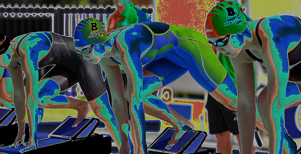 Empty Analysis Report Exposes the Hollow Data Culture in Vietnam's Swimming Analytics Circle Empty Analysis Report Exposes the Hollow Data Culture in Vietnam's Swimming Analytics Circle